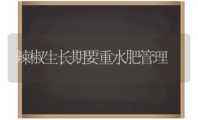 辣椒生长期要重水肥管理 | 养殖知识