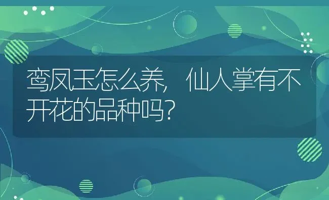 鸾凤玉怎么养,仙人掌有不开花的品种吗？ | 养殖科普