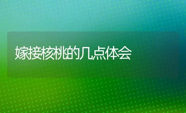 嫁接核桃的几点体会 | 养殖知识