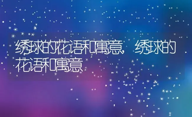 绣球的花语和寓意,绣球的花语和寓意 | 养殖科普