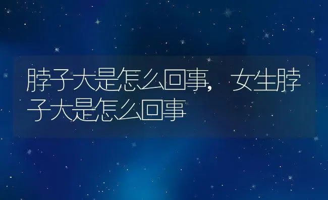 脖子大是怎么回事,女生脖子大是怎么回事 | 养殖资料