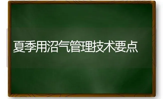 夏季用沼气管理技术要点 | 养殖知识