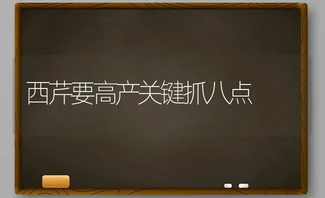 西芹要高产关键抓八点 | 养殖知识