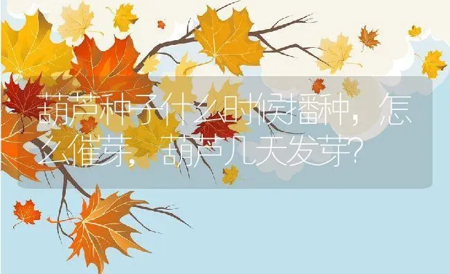 葫芦种子什么时候播种，怎么催芽,葫芦几天发芽？ | 养殖科普