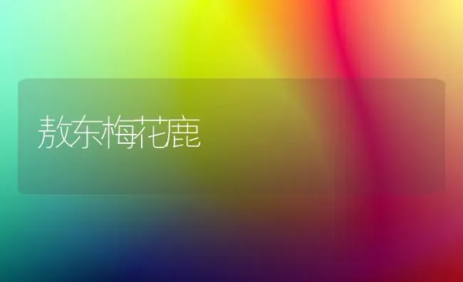 敖东梅花鹿 | 养殖技术大全