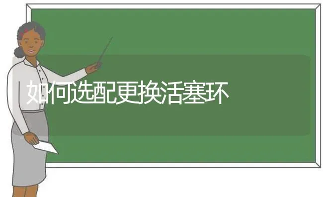如何选配更换活塞环 | 养殖技术大全