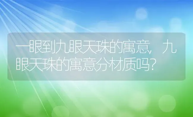 一眼到九眼天珠的寓意,九眼天珠的寓意分材质吗？ | 养殖科普