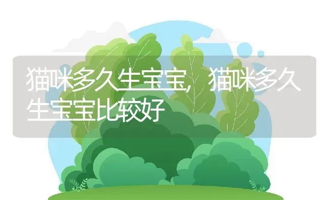 猫咪多久生宝宝,猫咪多久生宝宝比较好 | 养殖科普