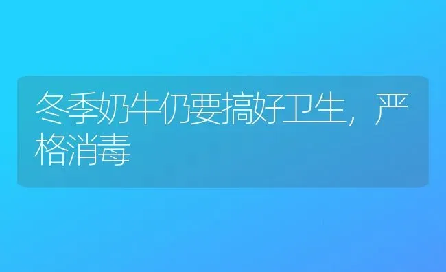 冬季奶牛仍要搞好卫生,严格消毒 | 养殖知识