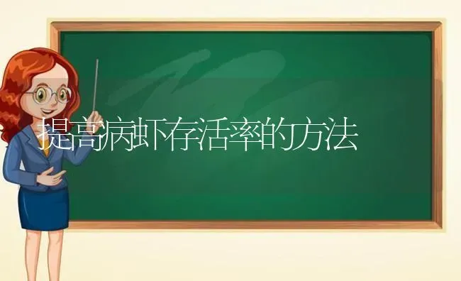 提高病虾存活率的方法 | 养殖技术大全