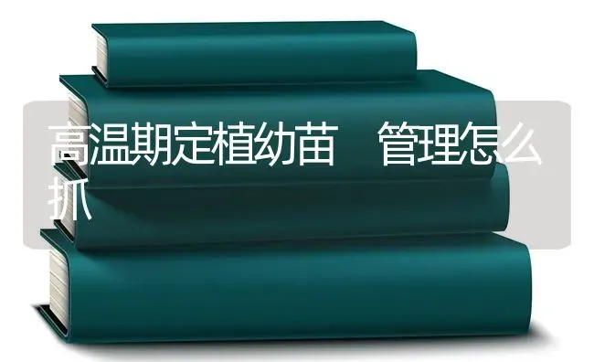 高温期定植幼苗 管理怎么抓 | 养殖技术大全