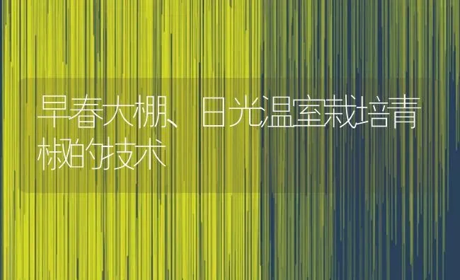 早春大棚、日光温室栽培青椒的技术 | 养殖技术大全
