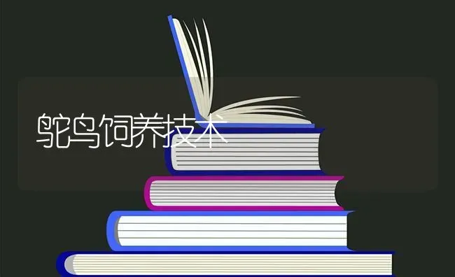 鸵鸟饲养技术 | 养殖知识