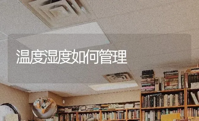 温度湿度如何管理 | 养殖技术大全