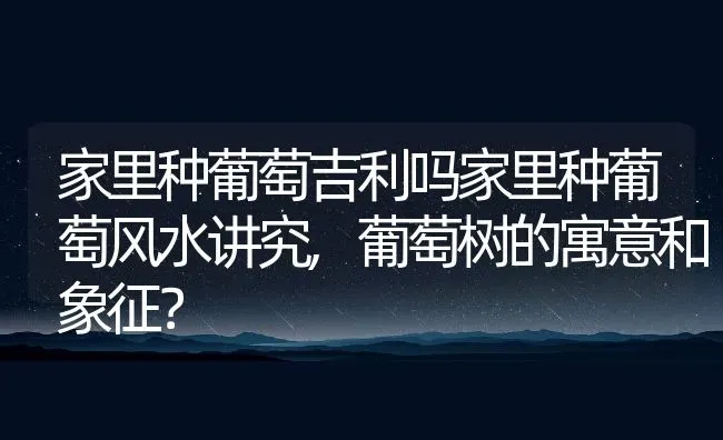 家里种葡萄吉利吗家里种葡萄风水讲究,葡萄树的寓意和象征？ | 养殖科普