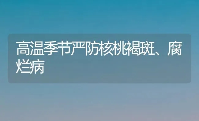 高温季节严防核桃褐斑、腐烂病 | 养殖技术大全