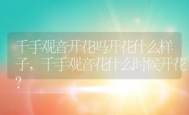千手观音开花吗开花什么样子,千手观音花什么时候开花？ | 养殖科普
