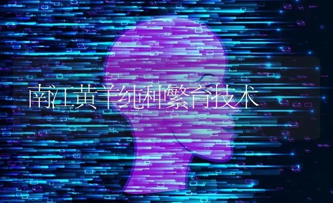 瓜类死棵现象多发啥原因咋防治 | 养殖技术大全