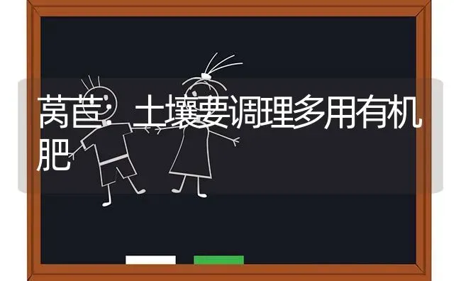 莴苣：土壤要调理多用有机肥 | 养殖技术大全