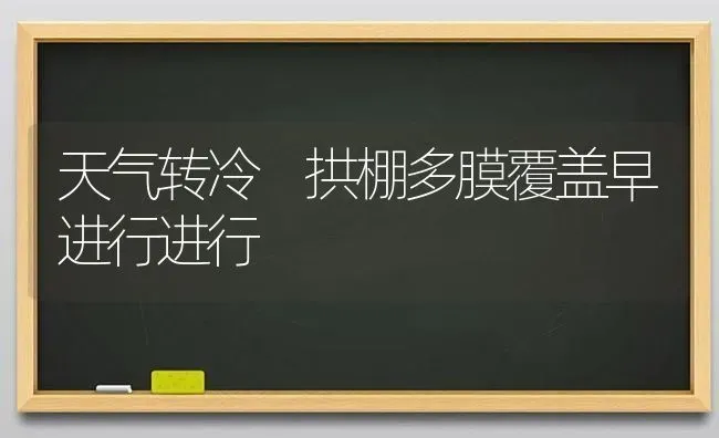 天气转冷 拱棚多膜覆盖早进行进行 | 养殖技术大全