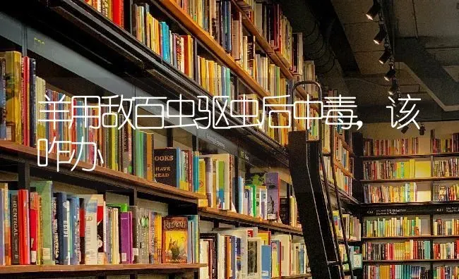 春季薯棉可间套 高产又高效 | 养殖技术大全