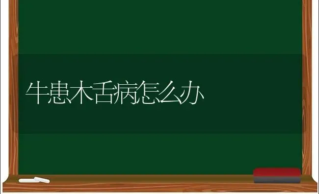 牛患木舌病怎么办 | 养殖技术大全