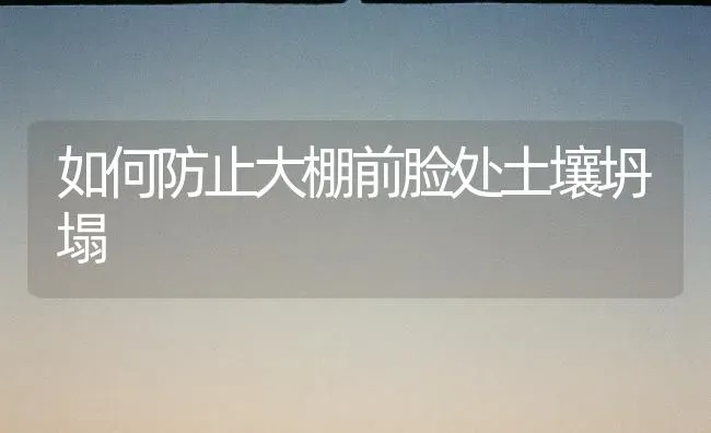 如何防止大棚前脸处土壤坍塌 | 养殖知识