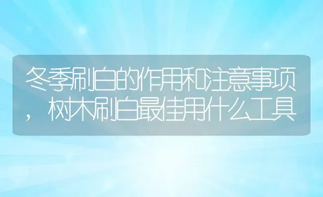 冬季刷白的作用和注意事项,树木刷白最佳用什么工具 | 养殖学堂