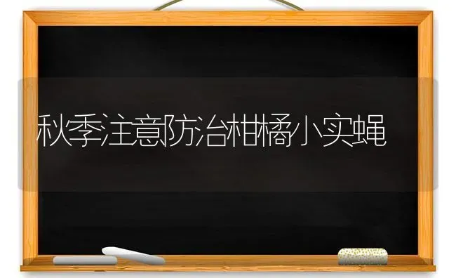 秋季注意防治柑橘小实蝇 | 养殖知识