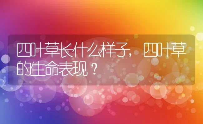 四叶草长什么样子,四叶草的生命表现？ | 养殖科普