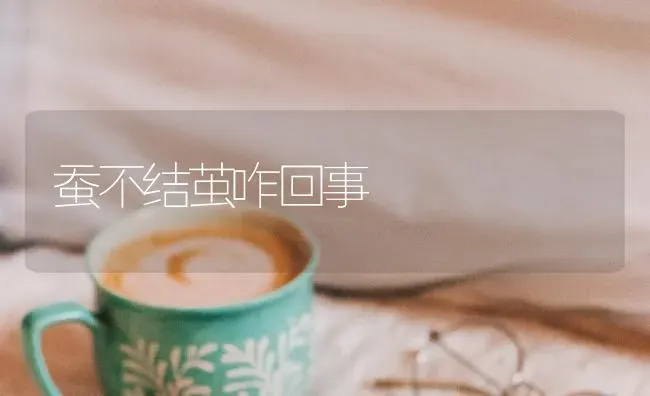 蚕不结茧咋回事 | 养殖知识