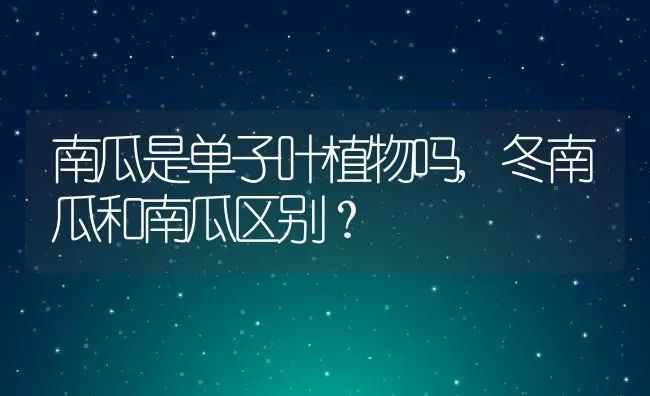 南瓜是单子叶植物吗,冬南瓜和南瓜区别？ | 养殖科普