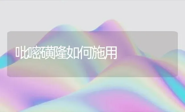 吡嘧磺隆如何施用 | 养殖知识