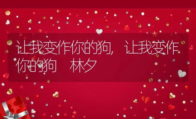 让我变作你的狗,让我变作你的狗 林夕 | 养殖科普