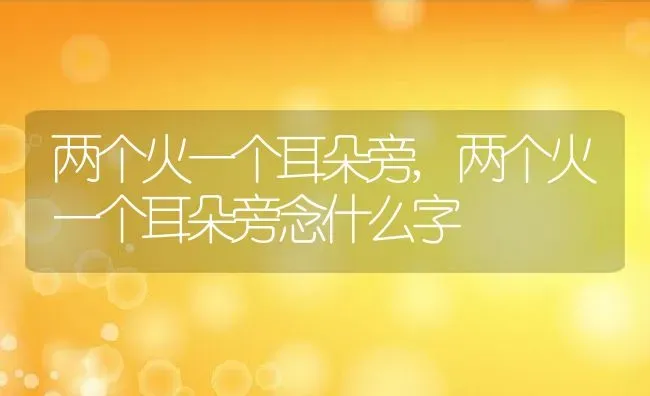 两个火一个耳朵旁,两个火一个耳朵旁念什么字 | 养殖资料