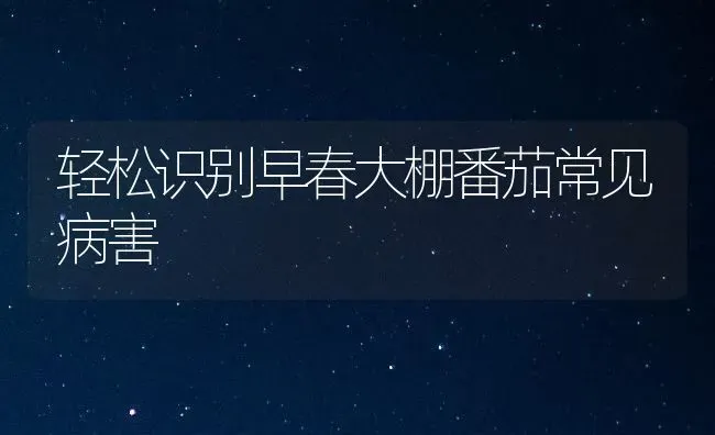 轻松识别早春大棚番茄常见病害 | 养殖知识