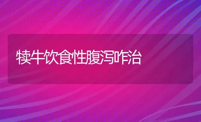 犊牛饮食性腹泻咋治 | 养殖技术大全