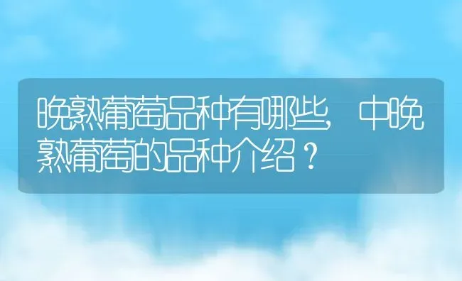 晚熟葡萄品种有哪些,中晚熟葡萄的品种介绍？ | 养殖科普