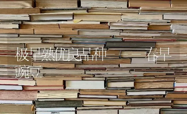 极早熟优良品种---春早豌豆 | 养殖技术大全
