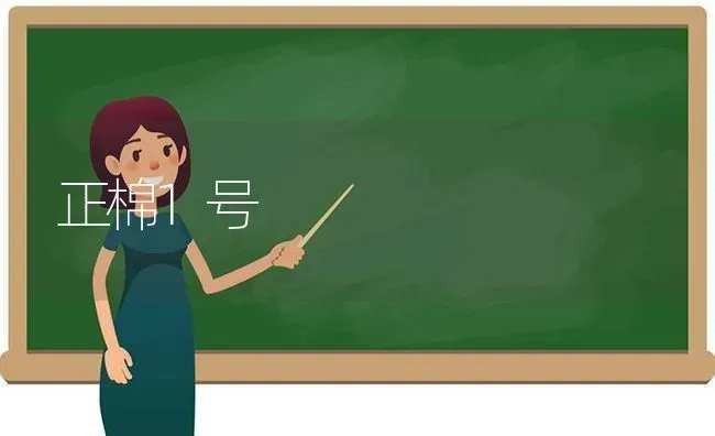 正棉1号 | 养殖知识