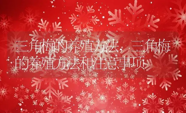 三角梅的养殖方法,三角梅的养殖方法和注意事项 | 养殖科普