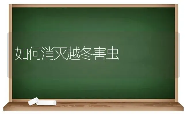 如何消灭越冬害虫 | 养殖知识