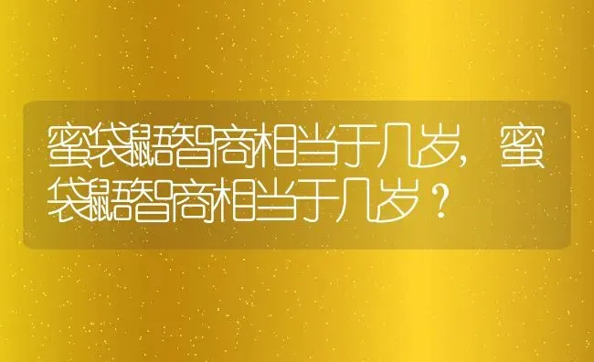 蜜袋鼯智商相当于几岁,蜜袋鼯智商相当于几岁？ | 养殖科普