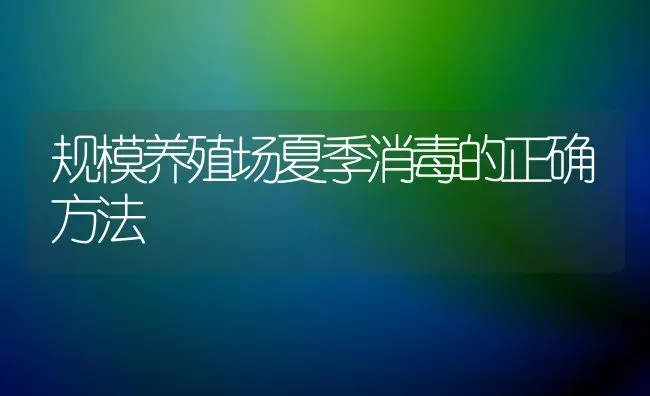 规模养殖场夏季消毒的正确方法 | 养殖知识