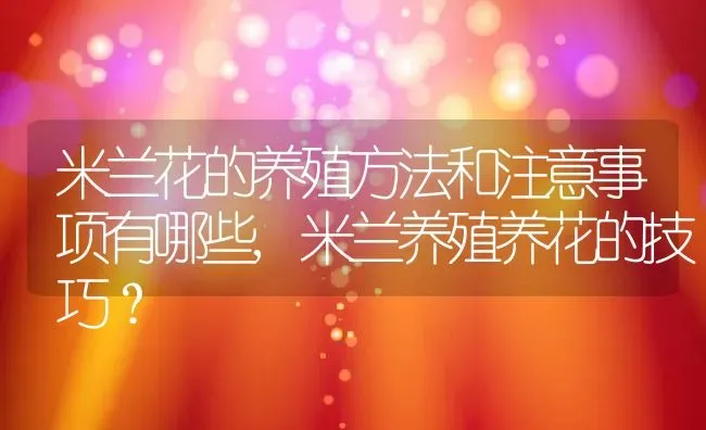 米兰花的养殖方法和注意事项有哪些,米兰养殖养花的技巧？ | 养殖科普