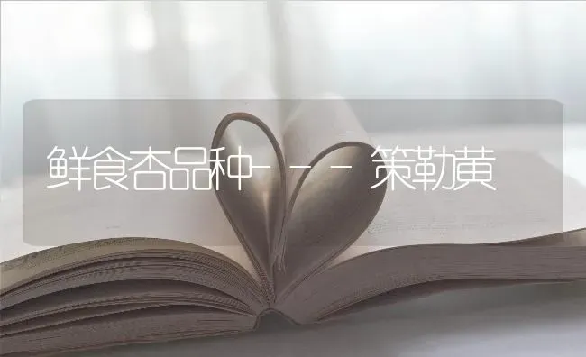 鲜食杏品种---策勒黄 | 养殖技术大全
