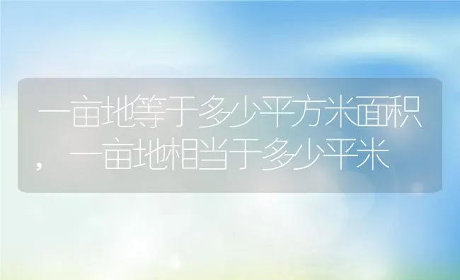 一亩地等于多少平方米面积,一亩地相当于多少平米 | 养殖学堂