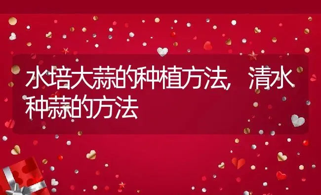 水培大蒜的种植方法,清水种蒜的方法 | 养殖学堂