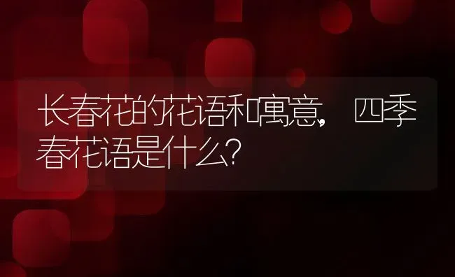 长春花的花语和寓意,四季春花语是什么？ | 养殖科普