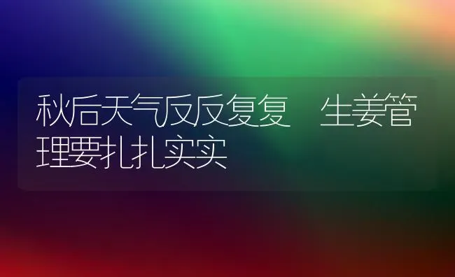 秋后天气反反复复 生姜管理要扎扎实实 | 养殖技术大全